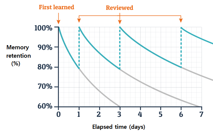 Illustration of spaced repetition concept